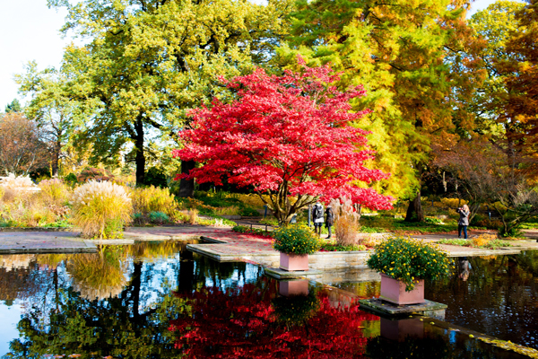 planten un blomen hamburg unter 50 euro