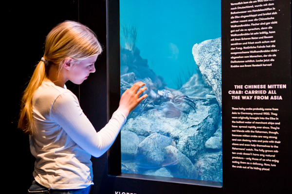 DiscoveryDock Natur 02 klein