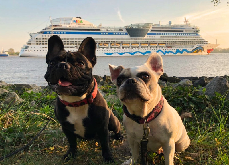hamburg mit hund an der elbe mit aida regina hermann